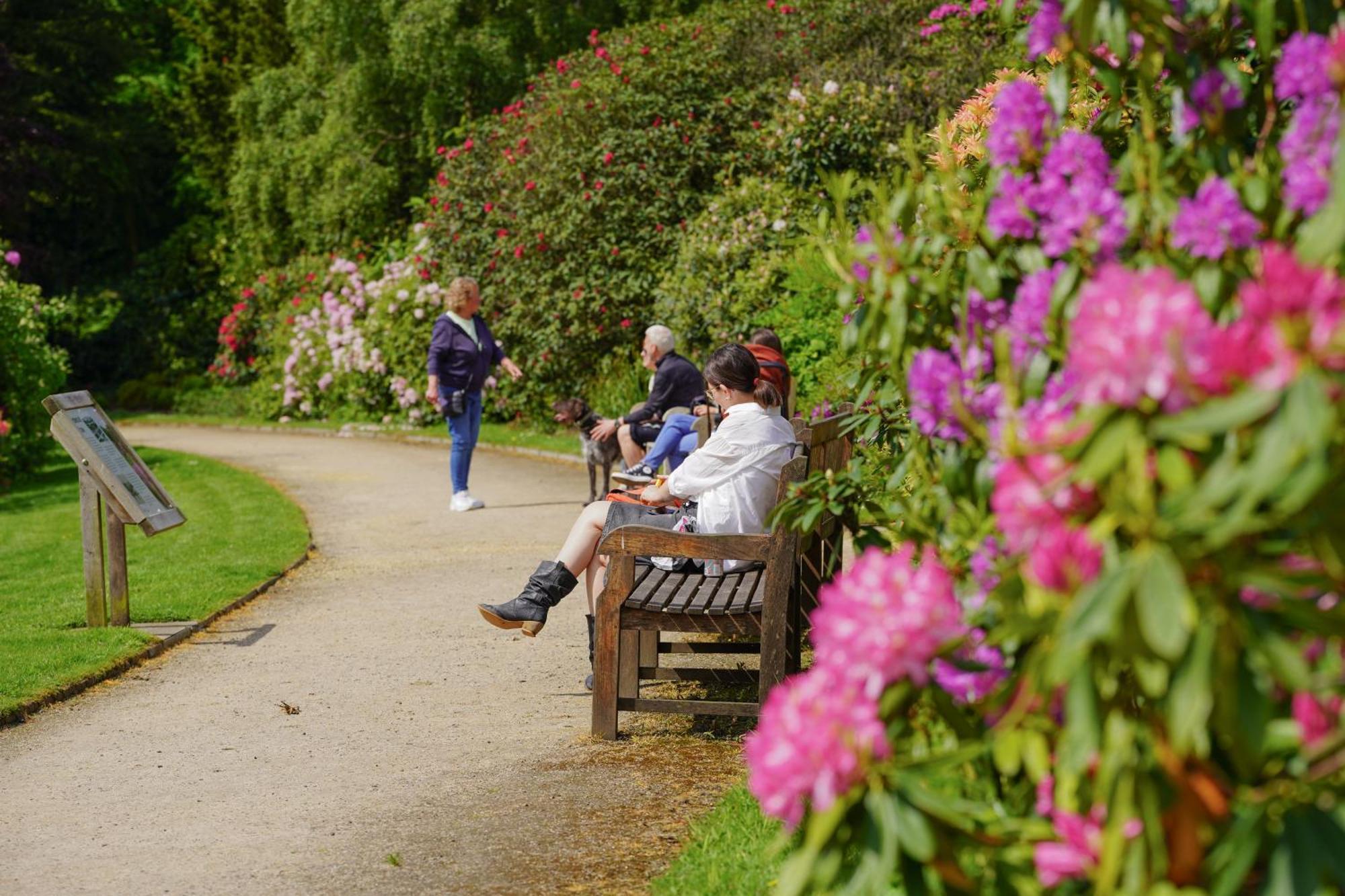 Bed and Breakfast Ushaw Historic House, Chapels & Gardens Durham Exterior foto